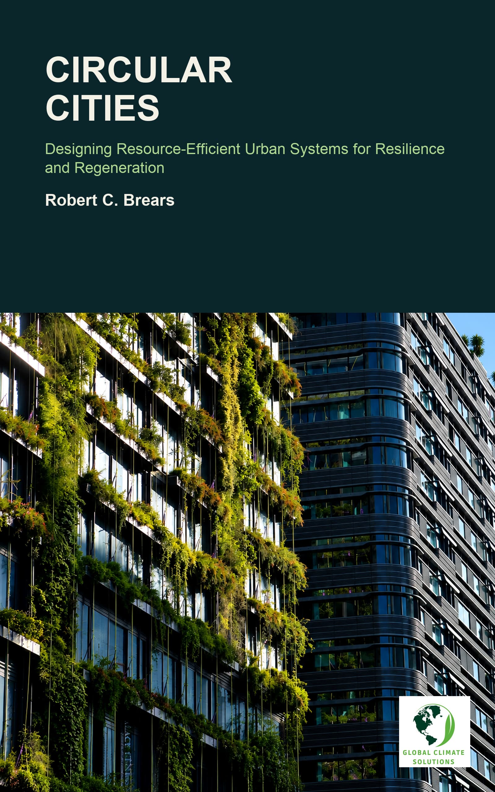 Published cover of Circular Cities
